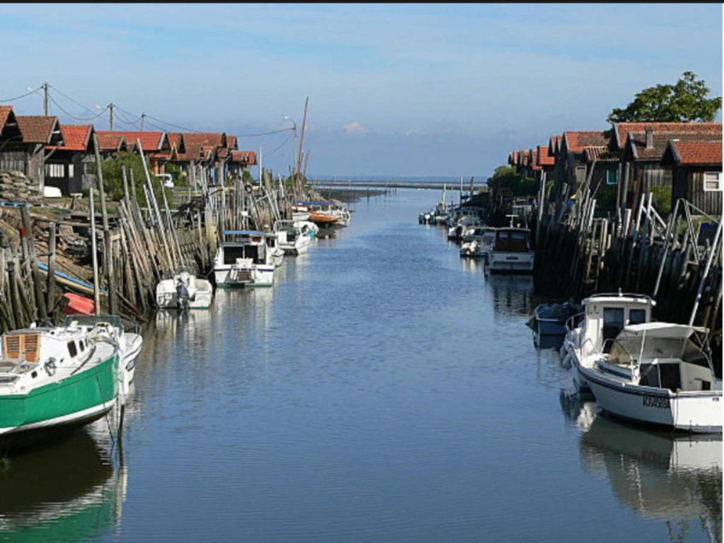 Hotel Particulier - Les Lodges Du Bassin D'Arcachon- Petit-Dejeuner Sur Demande- Prestations Haut De Gamme 居让梅斯特拉 外观 照片