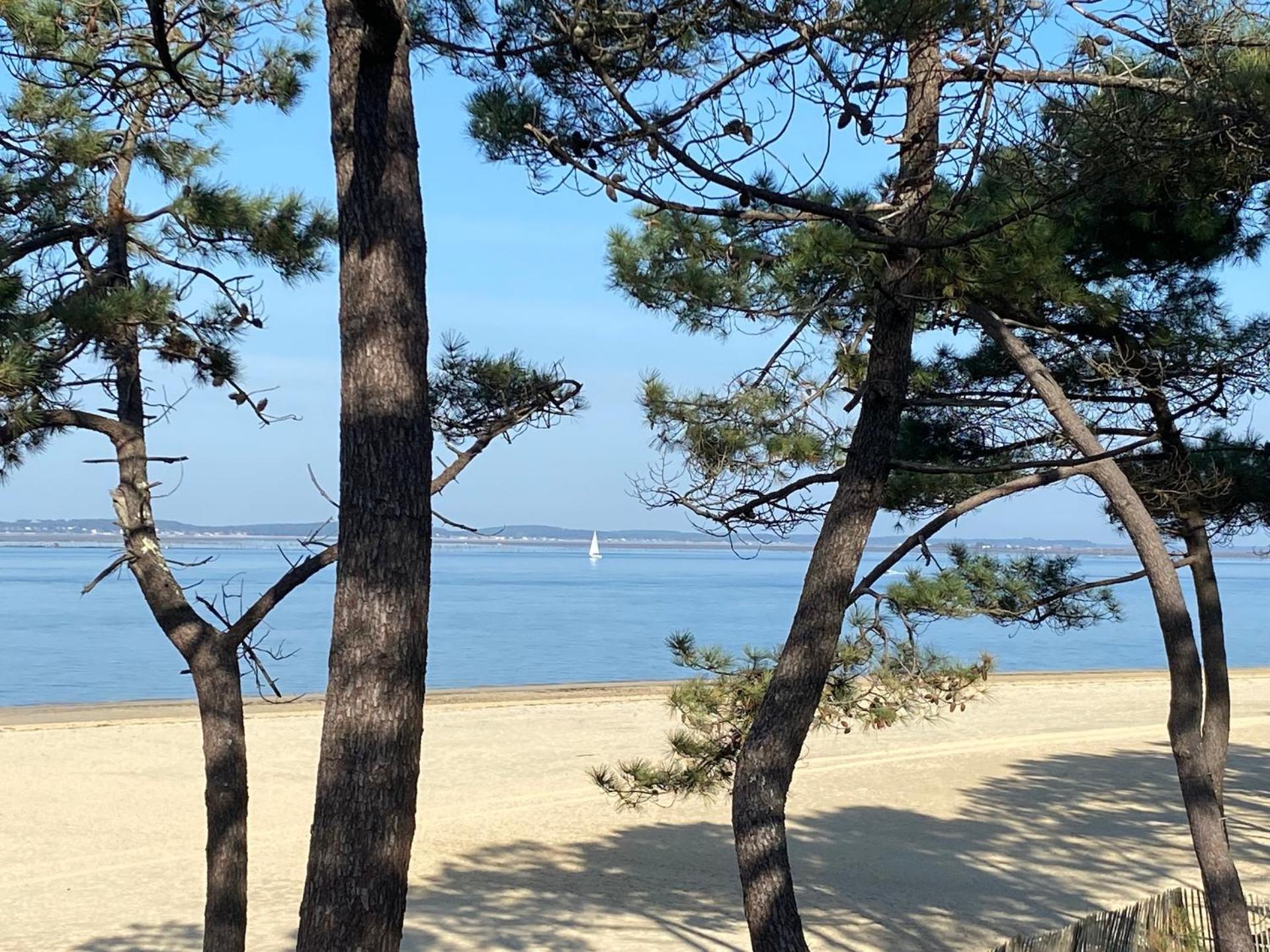 Hotel Particulier - Les Lodges Du Bassin D'Arcachon- Petit-Dejeuner Sur Demande- Prestations Haut De Gamme 居让梅斯特拉 外观 照片
