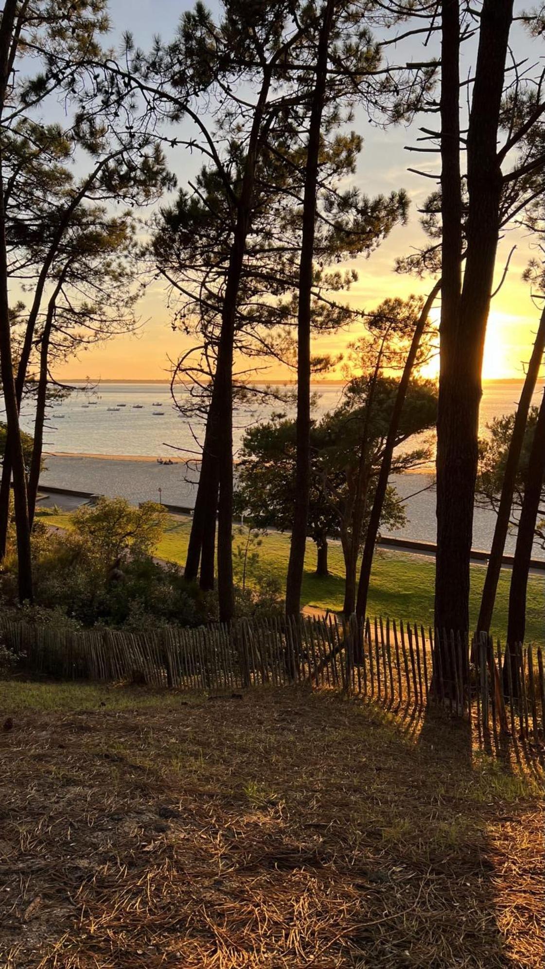 Hotel Particulier - Les Lodges Du Bassin D'Arcachon- Petit-Dejeuner Sur Demande- Prestations Haut De Gamme 居让梅斯特拉 外观 照片