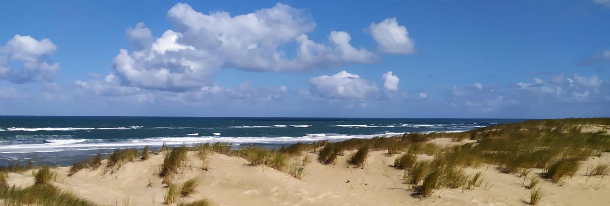 Hotel Particulier - Les Lodges Du Bassin D'Arcachon- Petit-Dejeuner Sur Demande- Prestations Haut De Gamme 居让梅斯特拉 外观 照片
